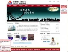 广州百事化工网站建设案例